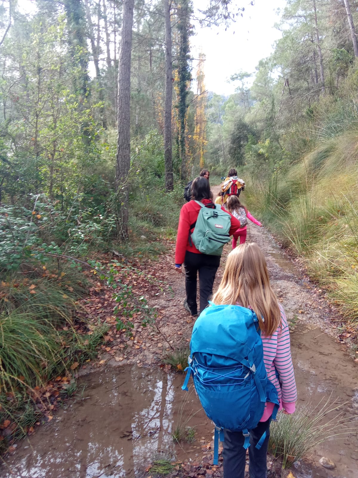 Excursión de otoño 
